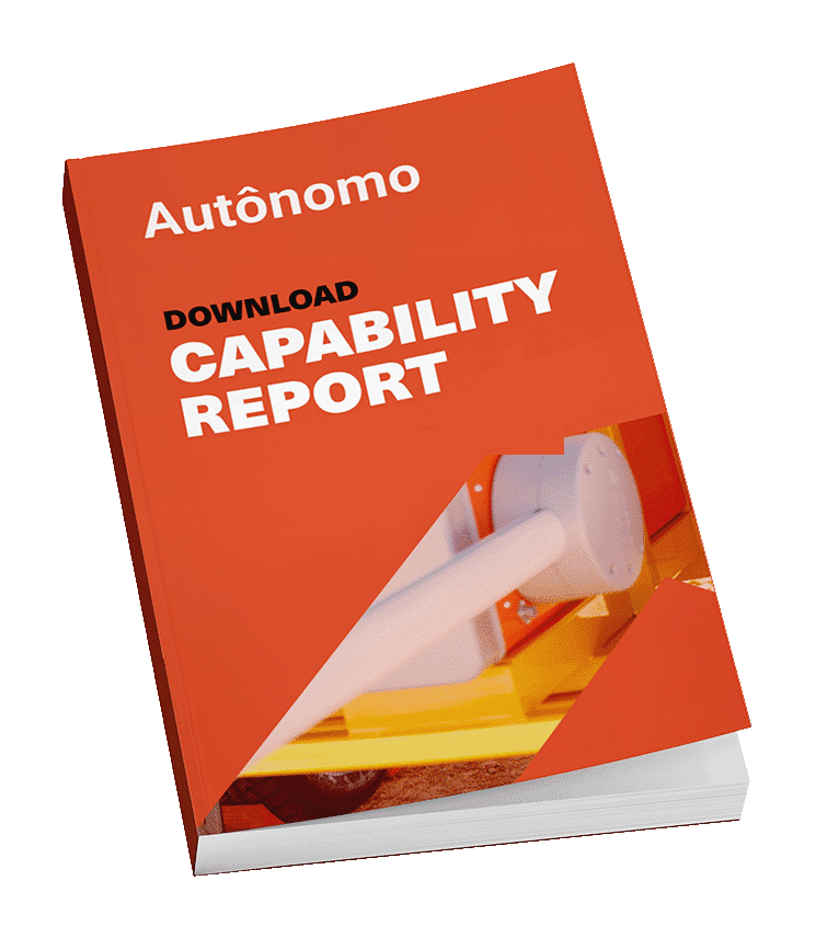 Capability Report book