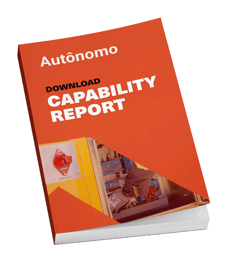 Capability Report book