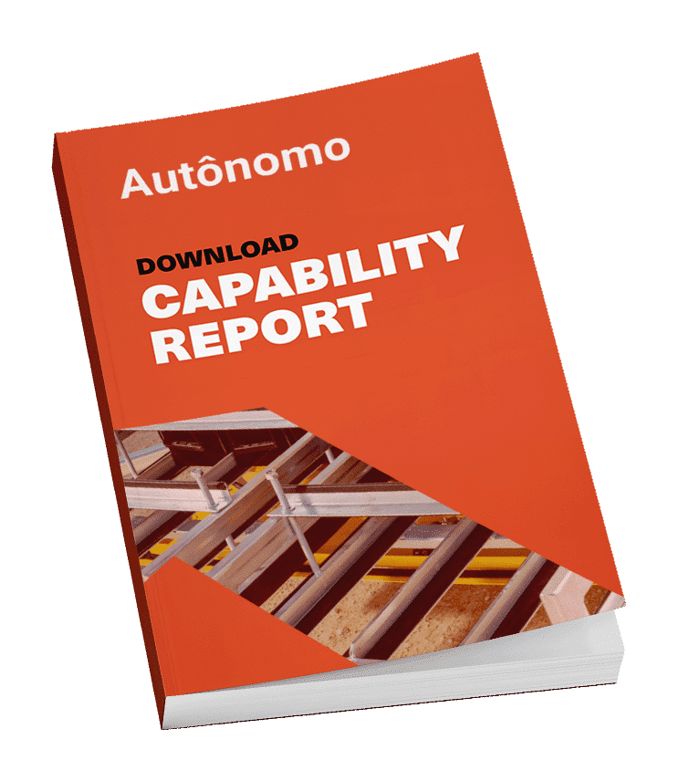 Capability Report book