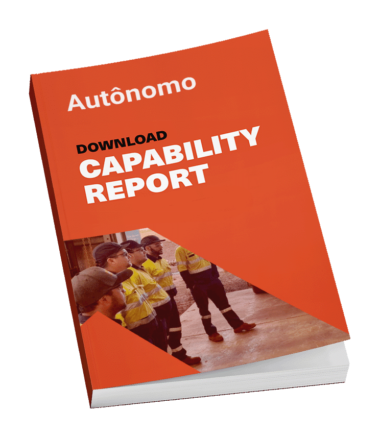 Capabilty Report book