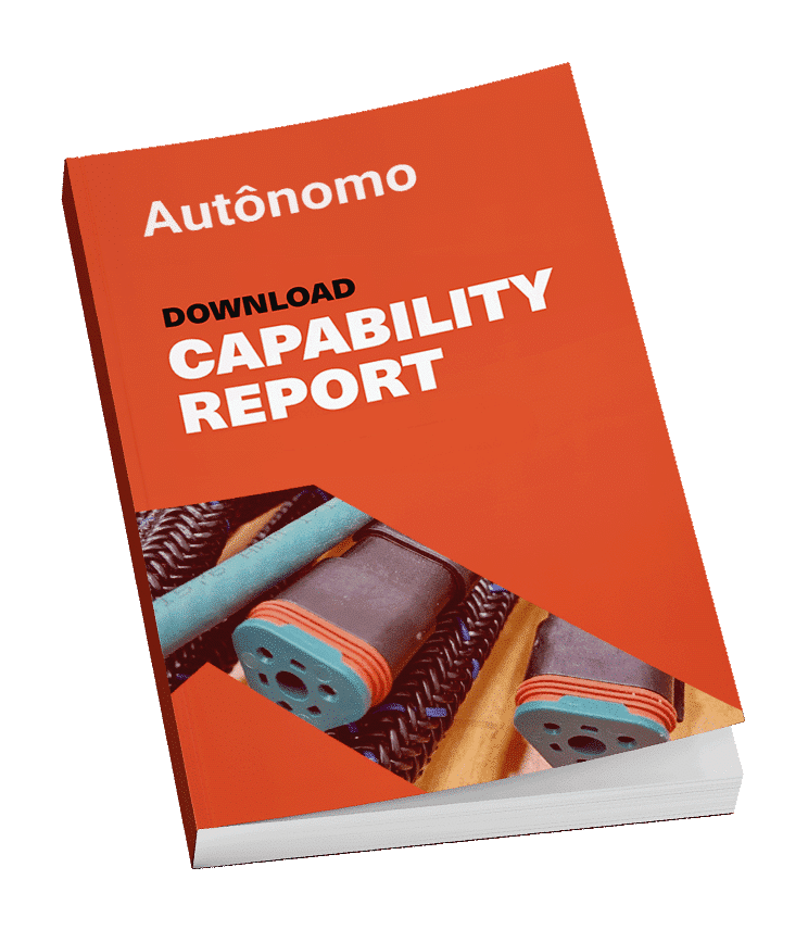 Capability Report book